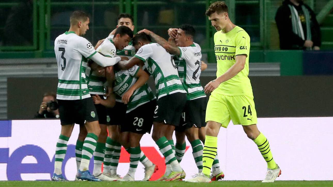 „Keine Champions ohne Haaland“