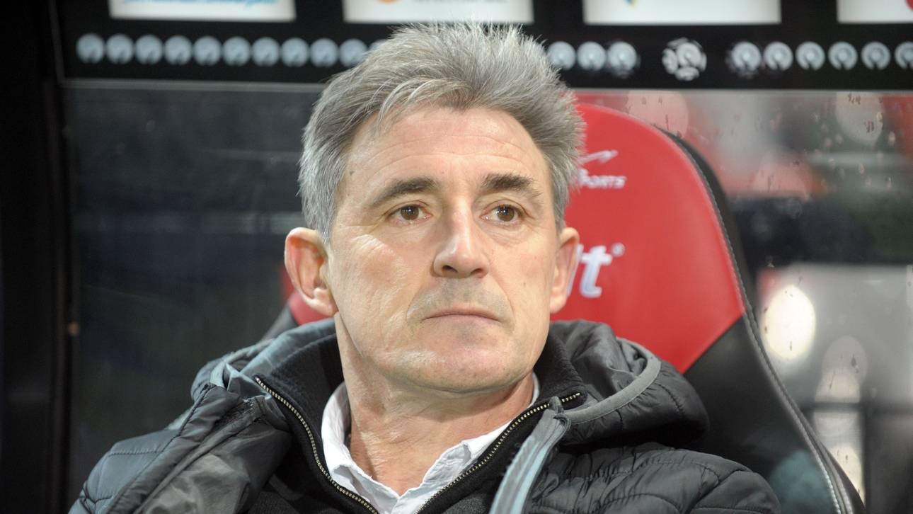 Troyes entlässt Trainer Robin