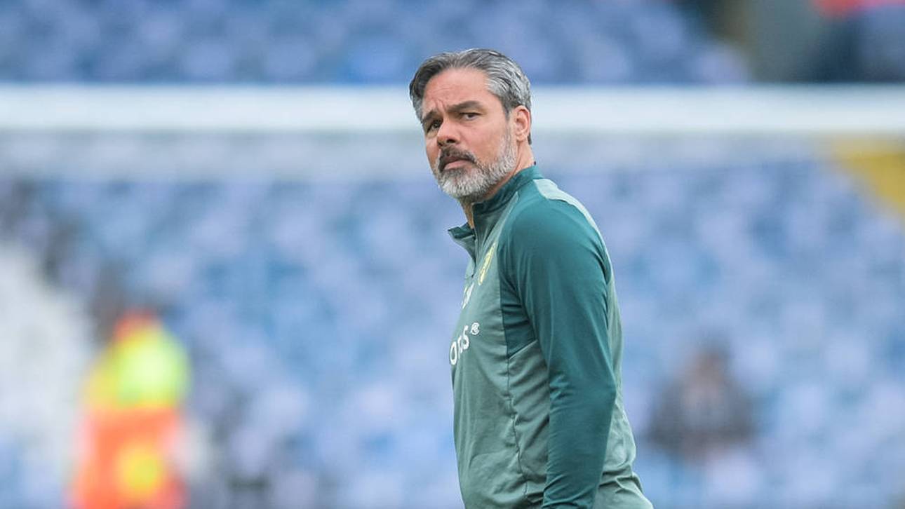 David Wagner verpasste mit Norwich City den Aufstieg in die Premier League