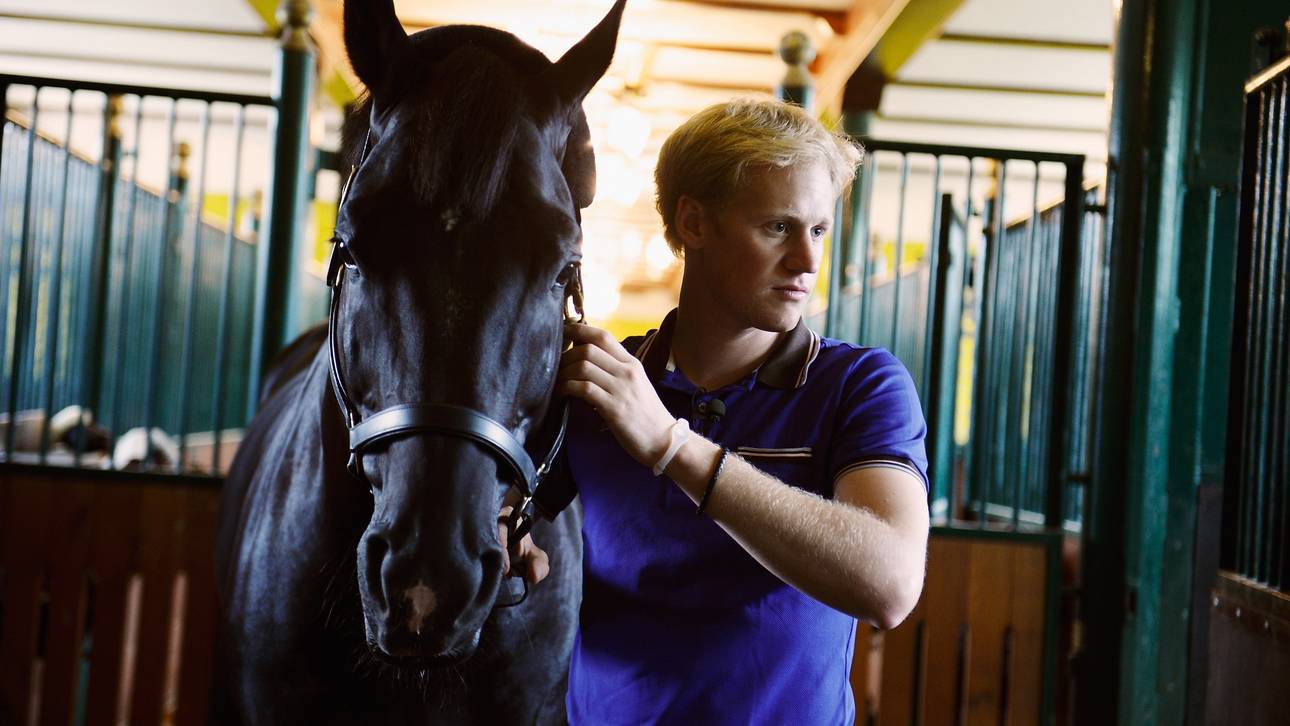 Totilas‘ Karriere in Gefahr