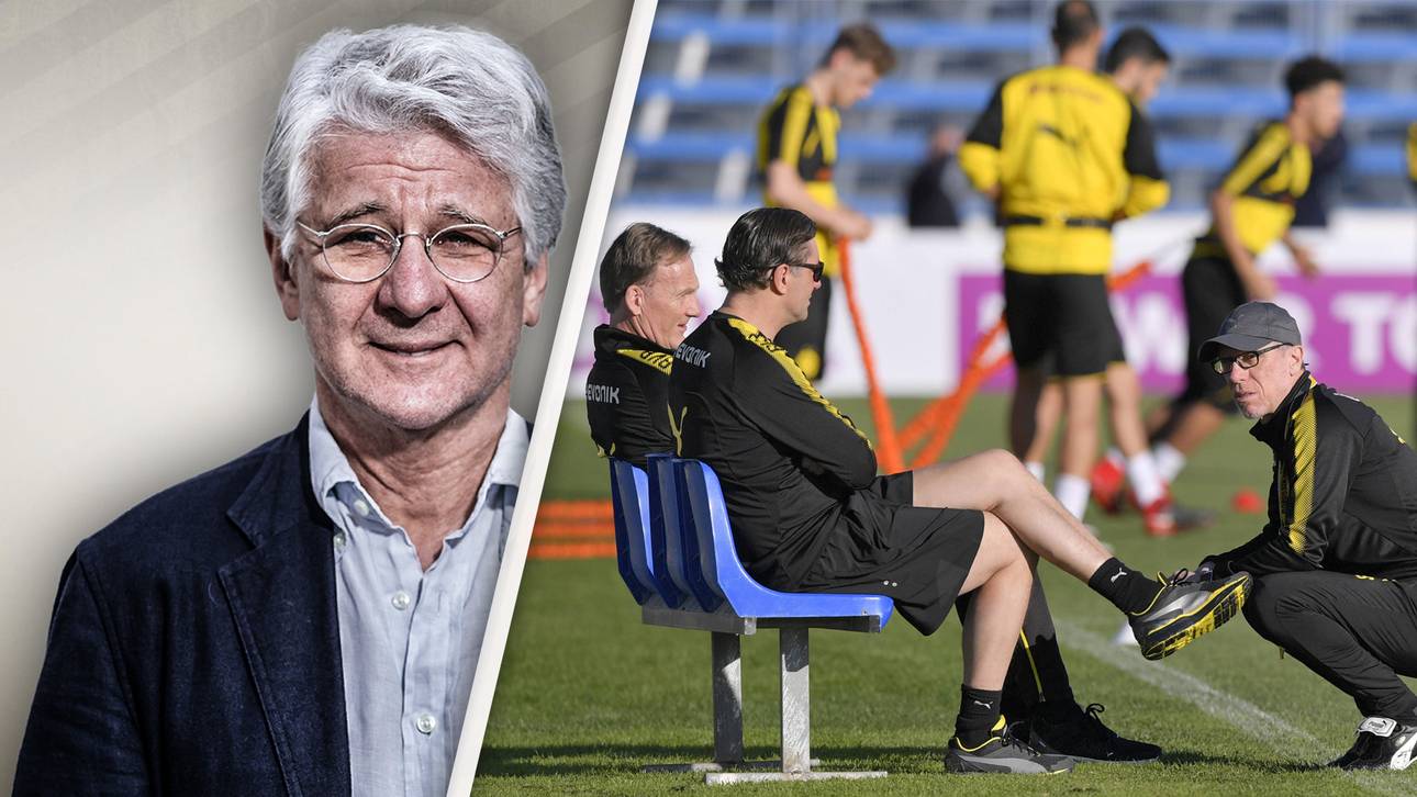 Reif: Beim BVB ist alles eine Soße