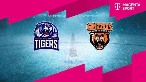 Straubing Tigers - Grizzlys Wolfsburg: Tore und Highlights | PENNY DEL
