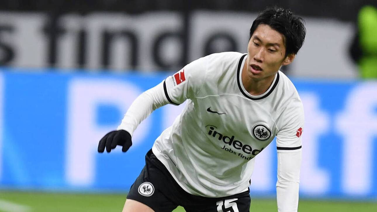 Unglaubliches Angebot für Kamada