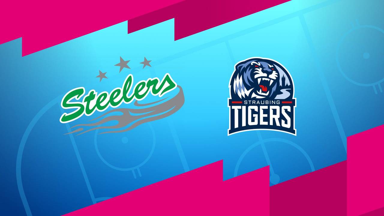 Bietigheim Steelers - Straubing Tigers (Highlights)