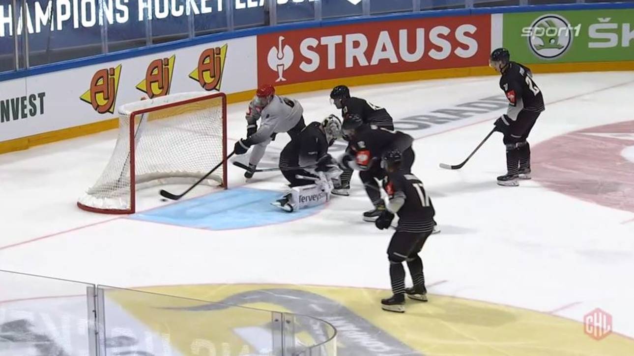 Pinguins feiern Coup – Eisbären gehen unter