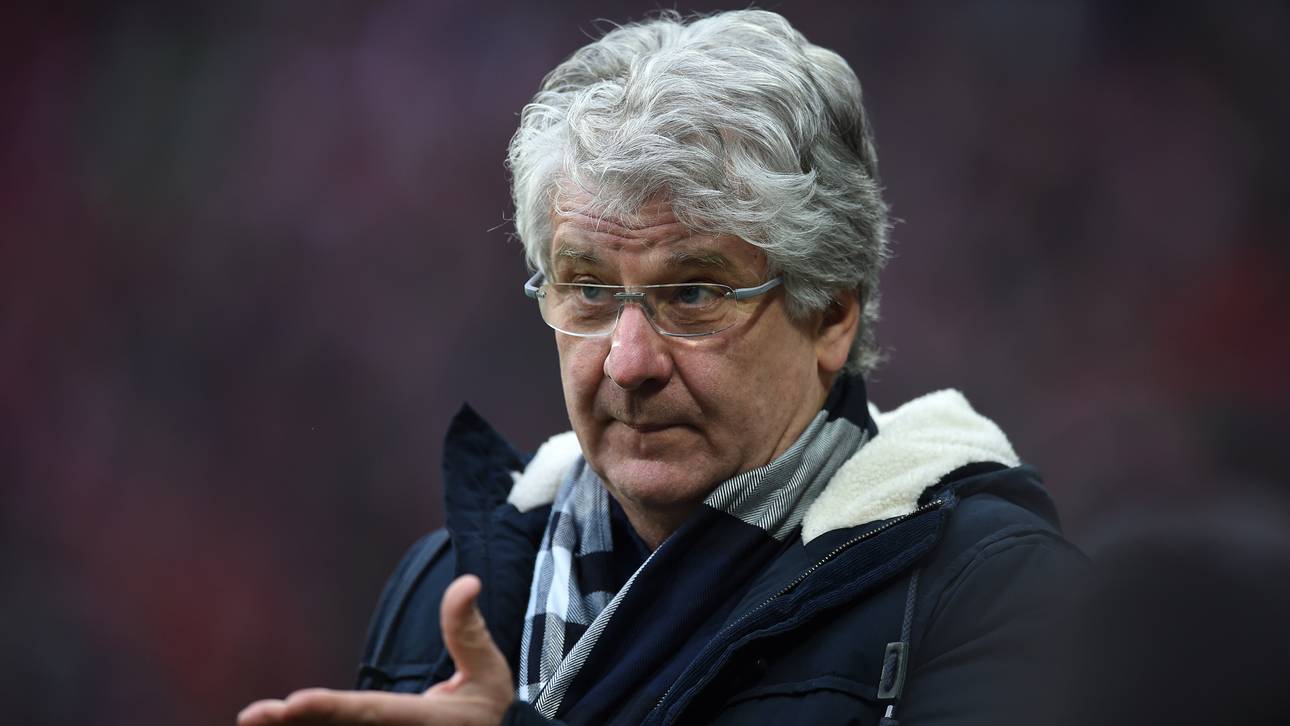 Reif feiert TV-Comeback als Experte