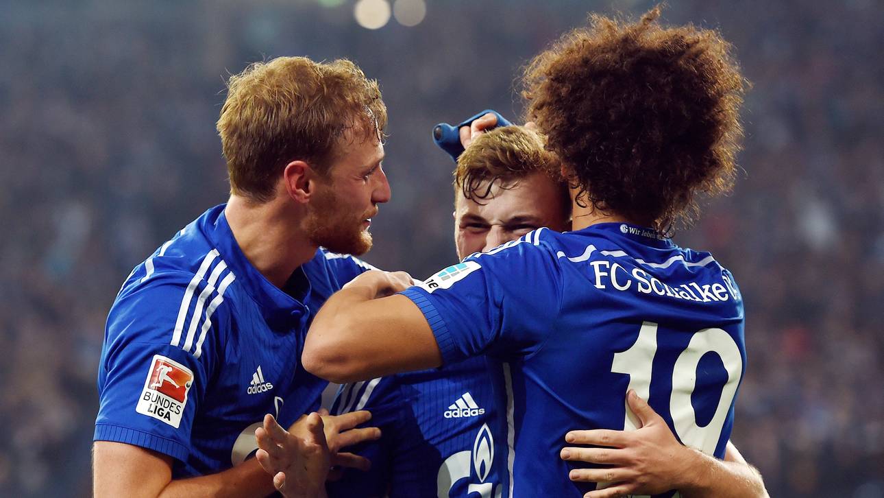 Schalke mit Meyer und Höwedes