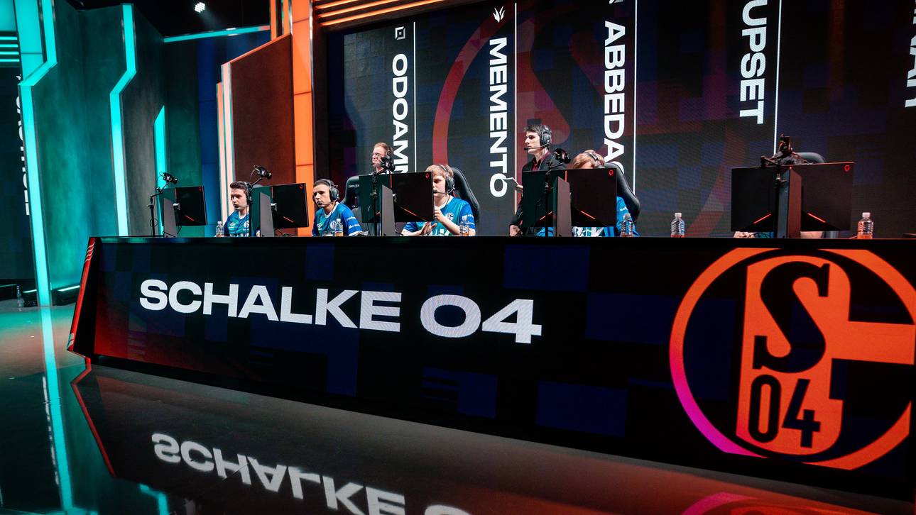 Platz 08: FC Schalke 04