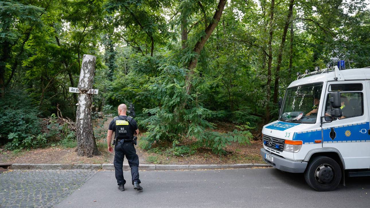 Löwin in Berlin: Bundesligist reagiert