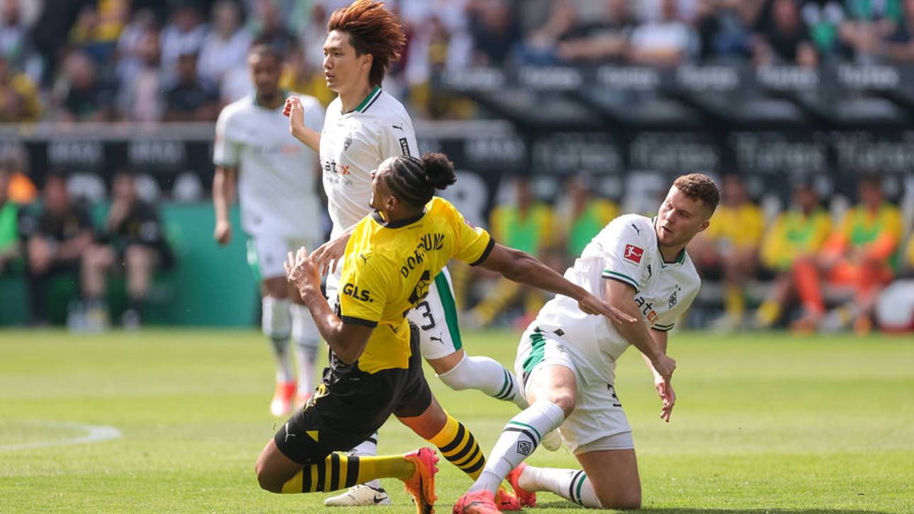 Bittere Gewissheit bei Haller