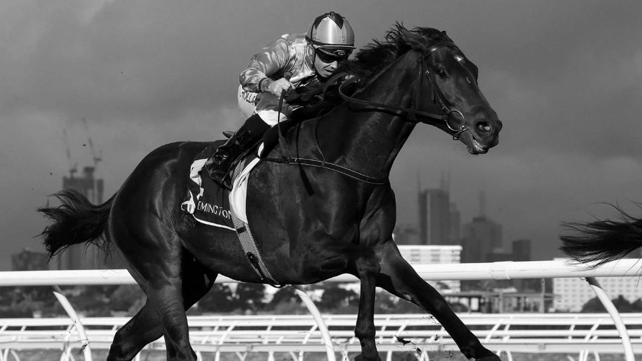 Jockey-Unfall endet tödlich