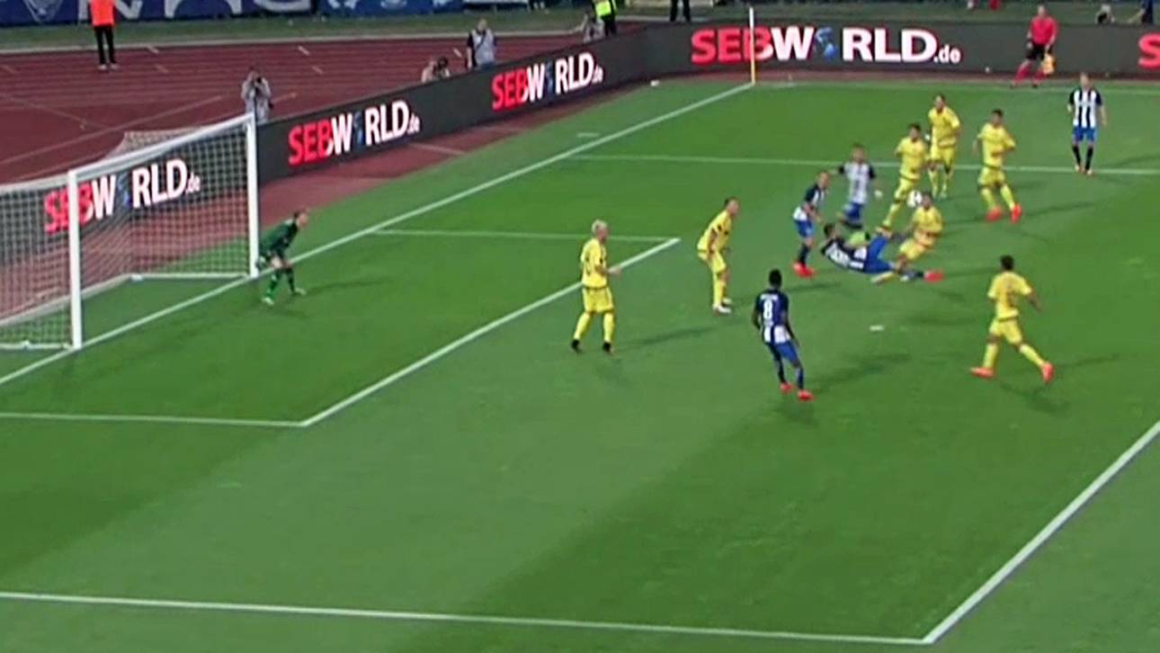 Ibisevic-Traumtor bringt Europa näher