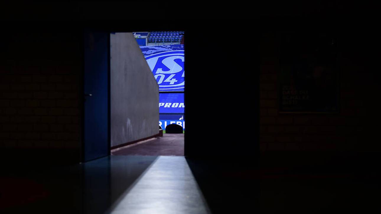 Wer trägt Hauptschuld an S04-Misere?