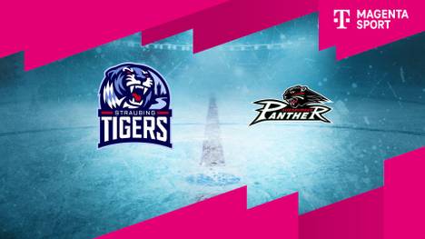 Straubing Tigers - Augsburger Panther: Tore und Highlights | PENNY DEL