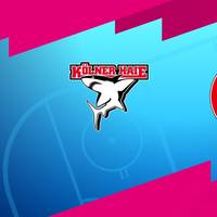 Kölner Haie - Düsseldorfer EG (Highlights)