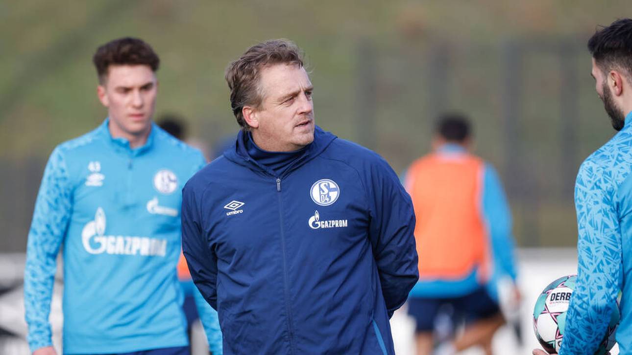 Darum wird Büskens nicht Chefcoach