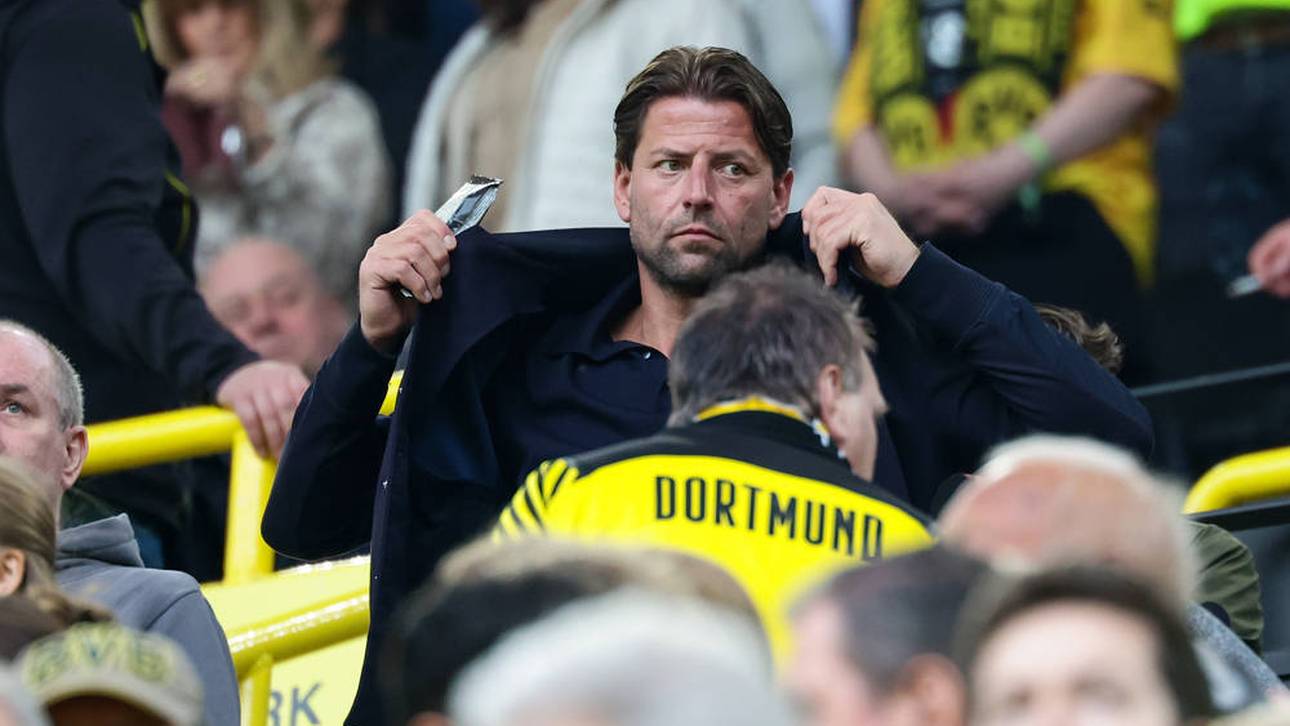 Roman Weidenfeller übt harsche Kritik an Leroy Sané