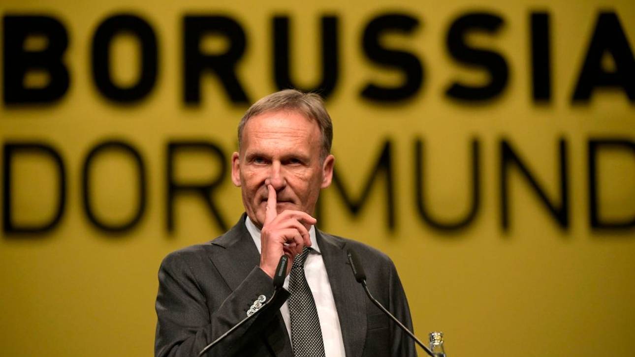 Watzke: Gäbe auch andere Ansätze