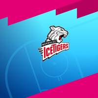 Nürnberg Ice Tigers - Straubing Tigers (Highlights)