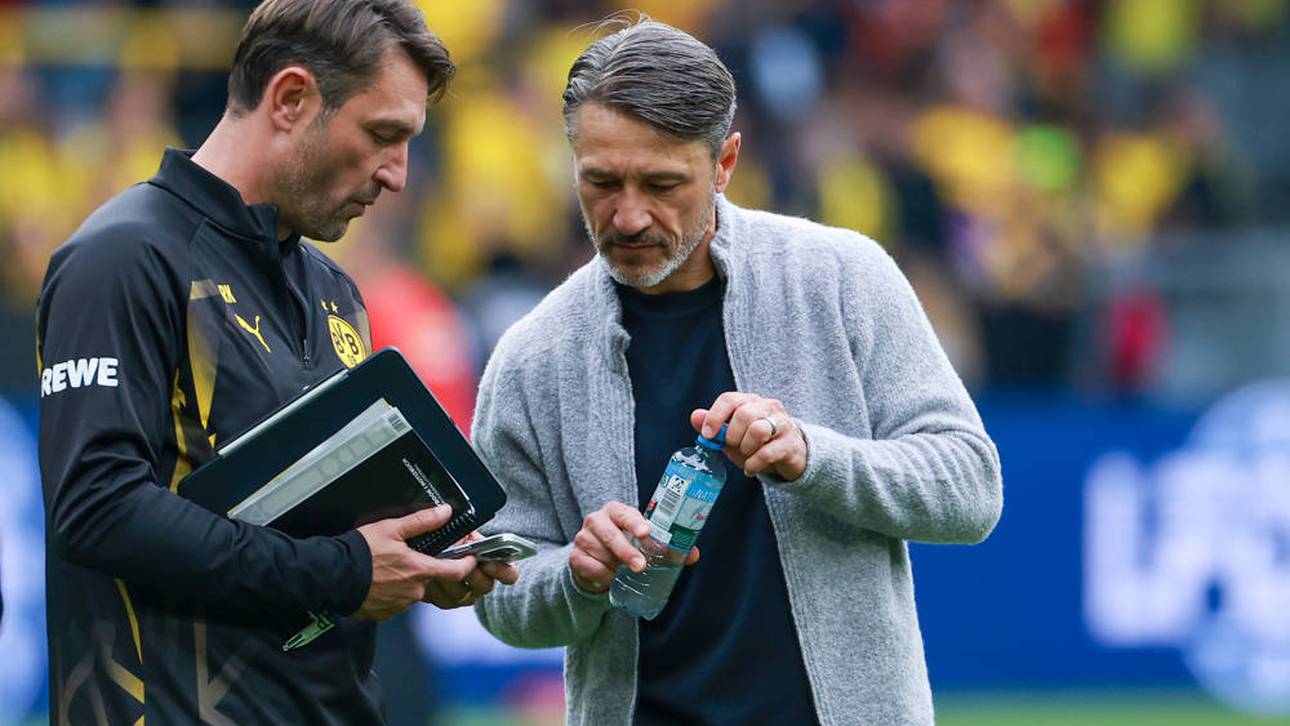 "Die Kovac-Brüder kann mir keiner ausreden"