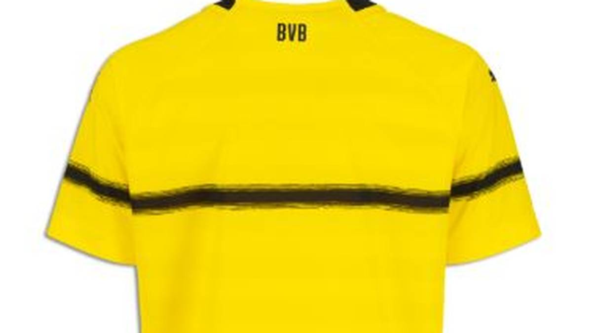 der sich auch auf den Ärmeln und der Rückseite des Trikots fortsetzt