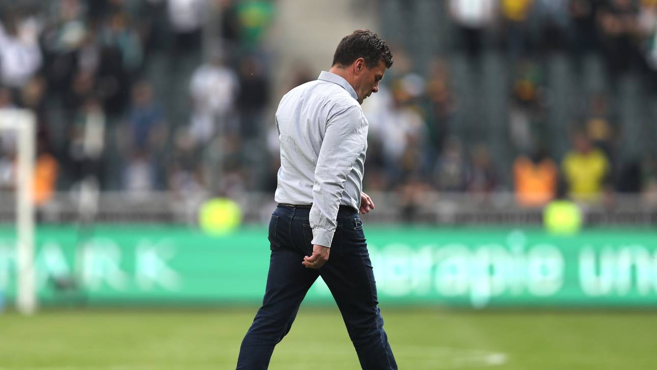 Hecking kritisiert Trainer-Umgang