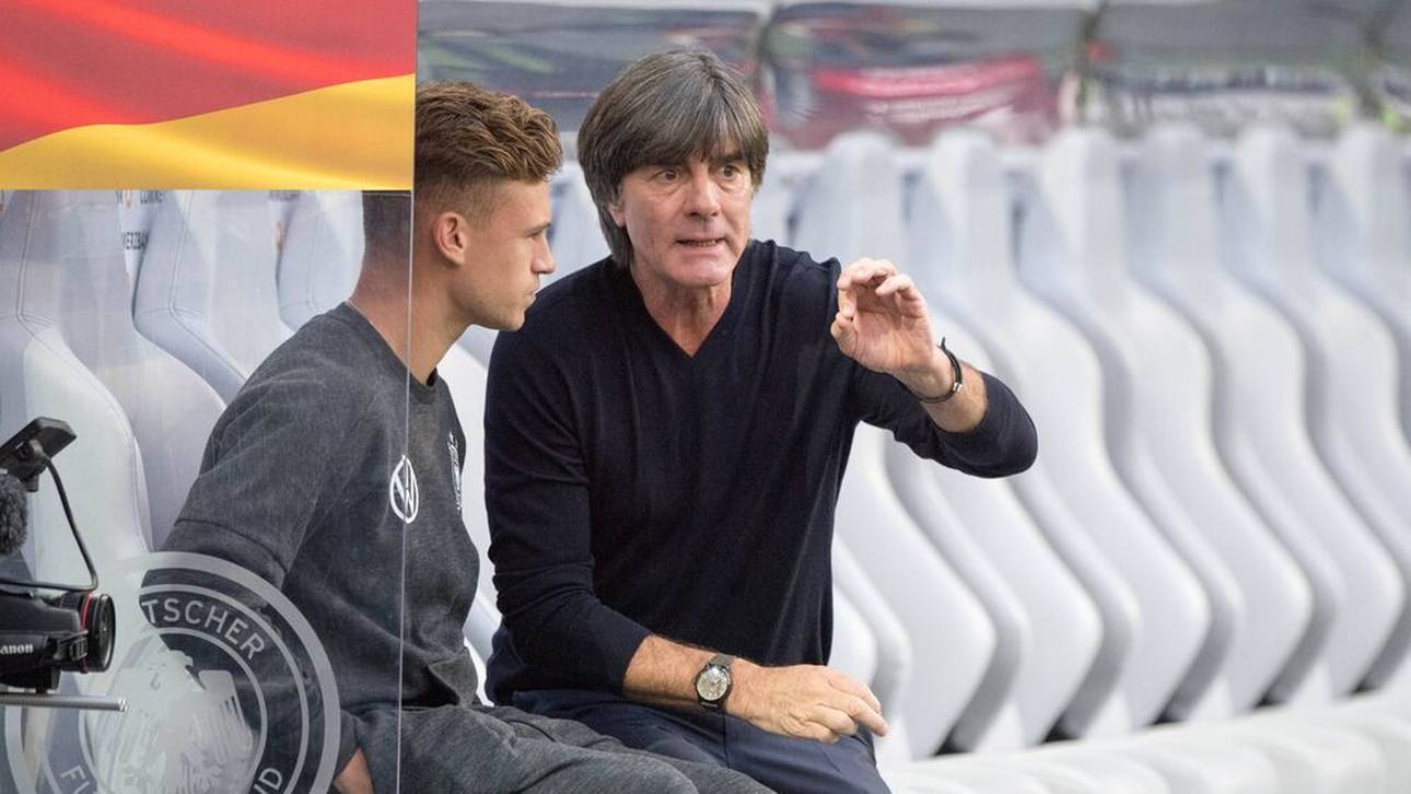 Löw mit flammendem Appell