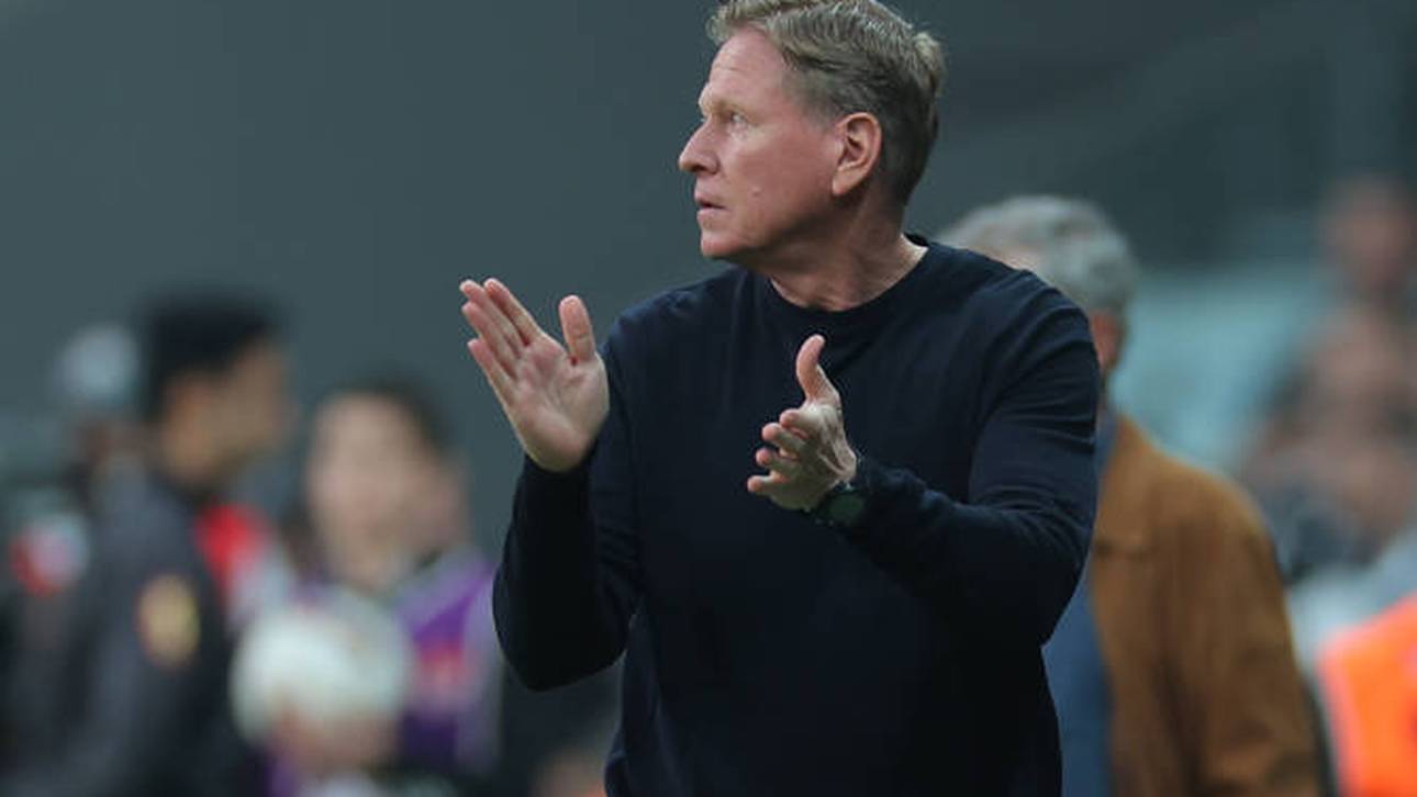 Abstiegskampf: Gisdol setzt auf Fans