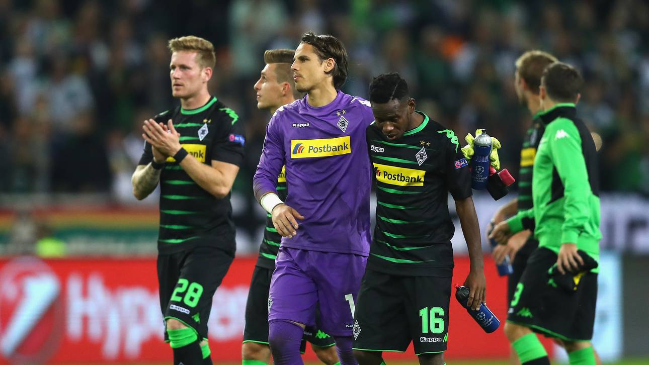 Begeisterte Fohlen zahlen teures Lehrgeld