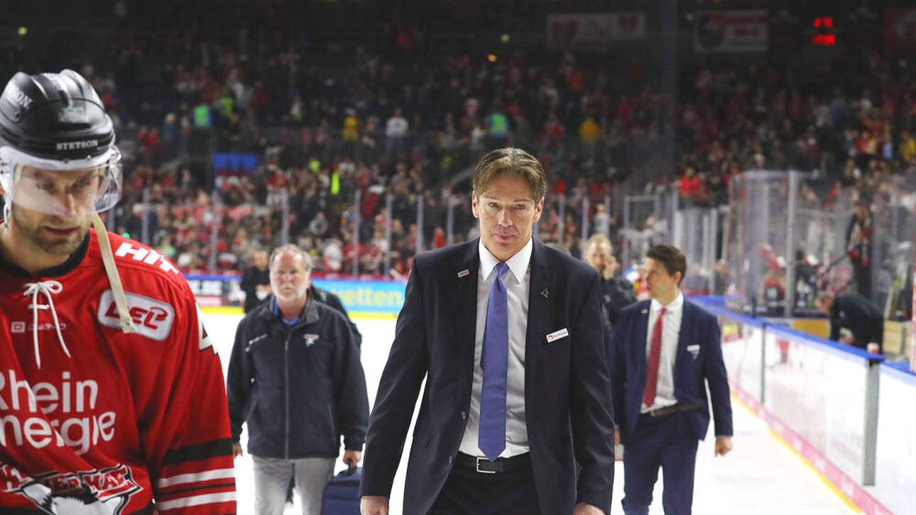 Wie die Haie gegen das Aus kämpfen