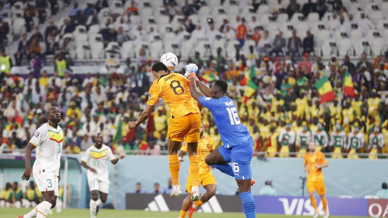 Shootingstar erlöst Niederlande