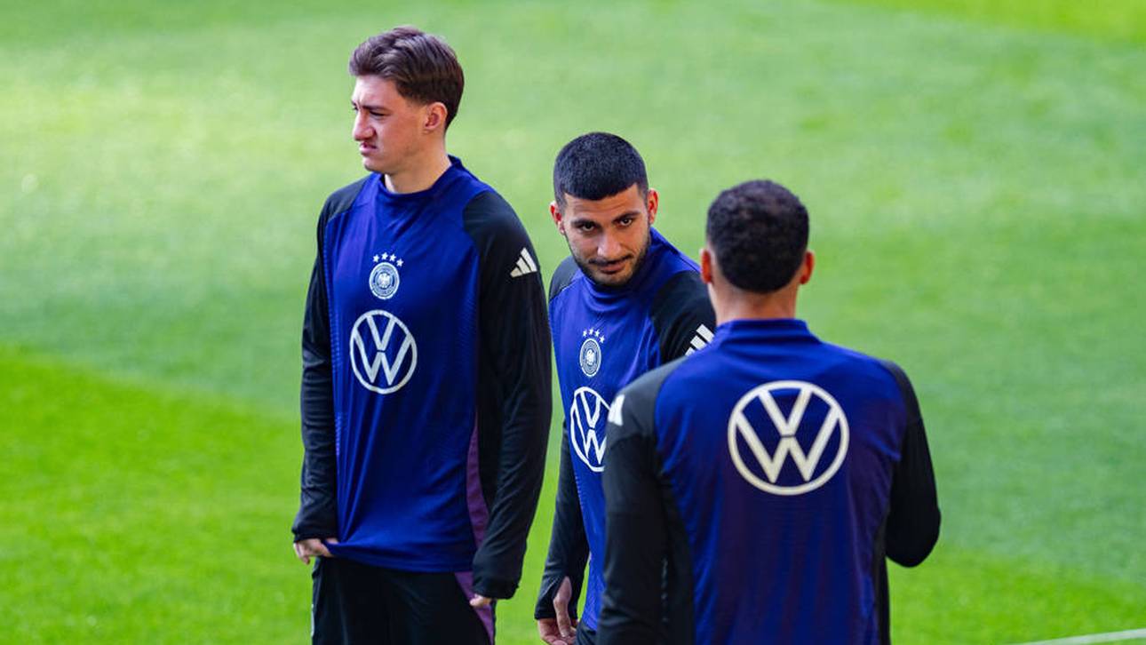 Medien: VfB-Trio fährt zur WM