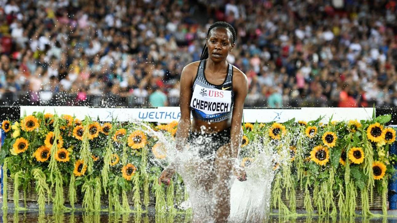 Beatrice Chepkoech ist aktuell das Maß aller Dinge über 3000 m Hindernis
