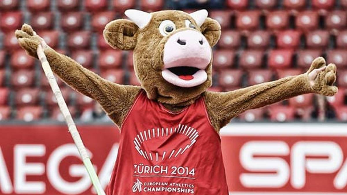 Cooly kann auch sportlich: Beim Stabhochspringen schafft es die Kuh in ihrem sieben Kilo schweren Köstum über drei Meter