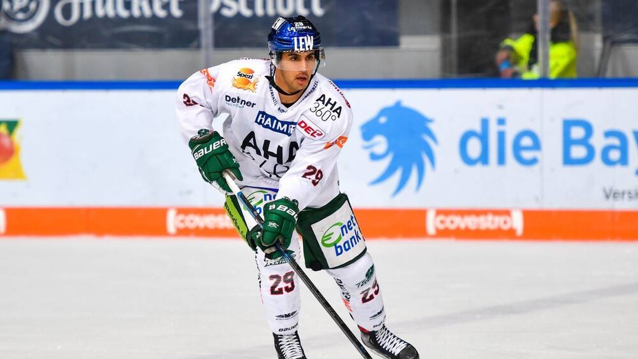 DEL: Nürnberg verpflichtet Stürmer Schmölz