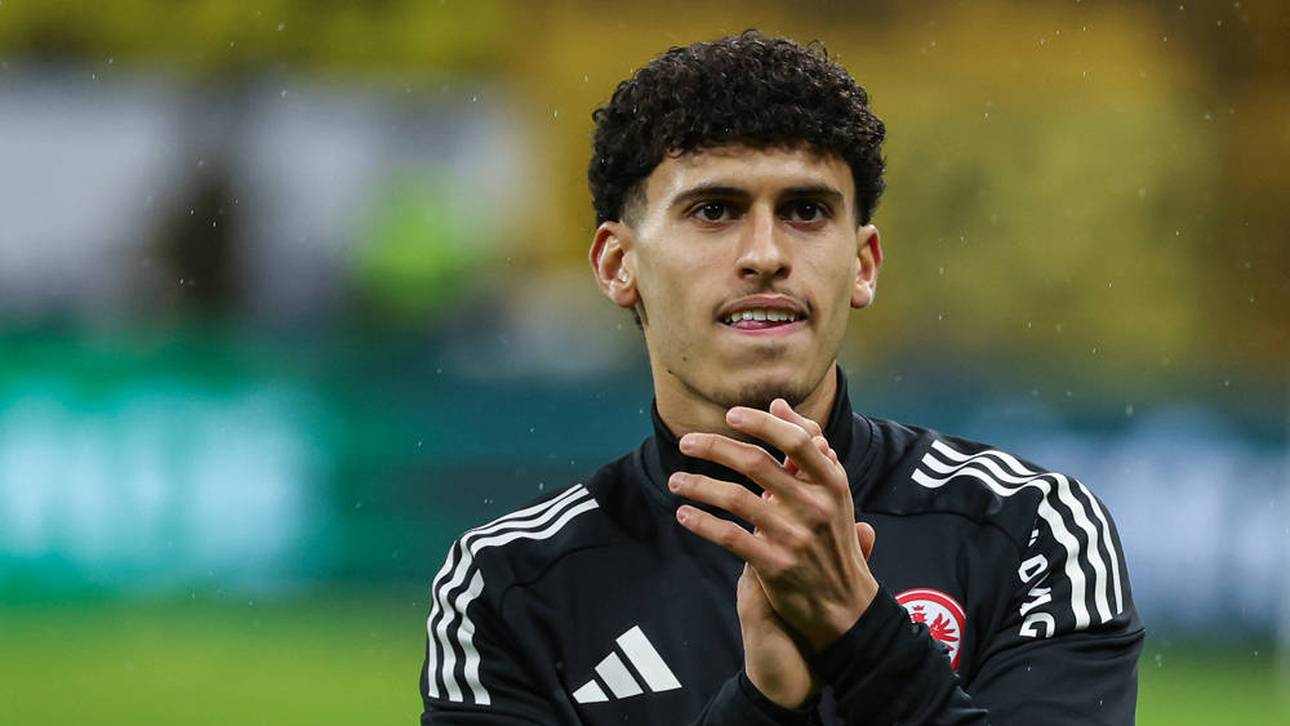 Eine rasante Entwicklung