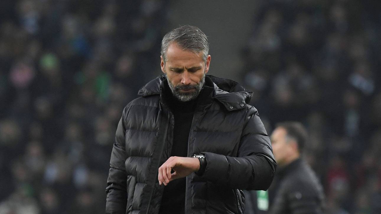 Rettet Schalke Rose?