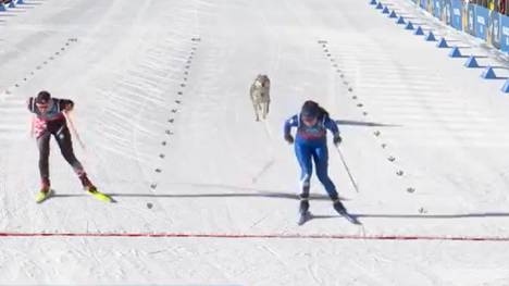 Der Auftritt eines Vierbeiners stiftet kurzzeitige Verwirrung bei der Langlauf-Qualifikation.