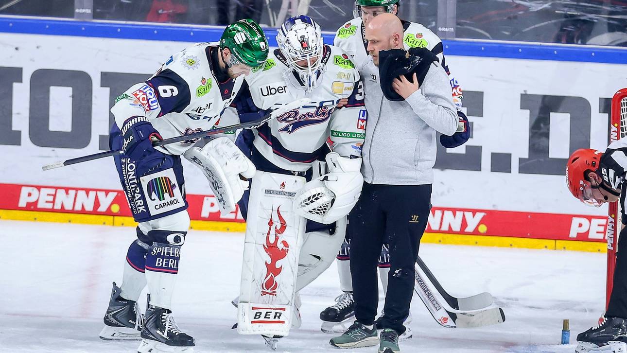 Bittere Nachricht für die Eisbären