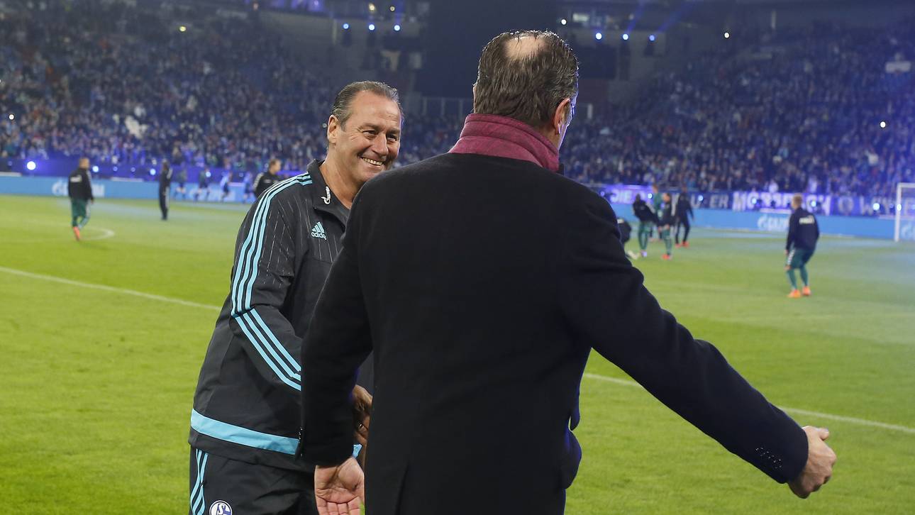 Stevens setzt sich für Tönnies ein