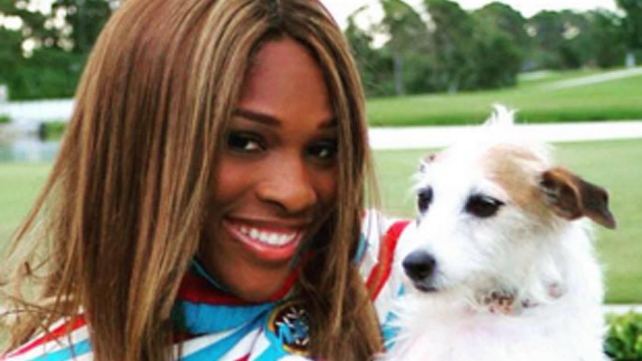 Williams trauert um Hündin Jackie