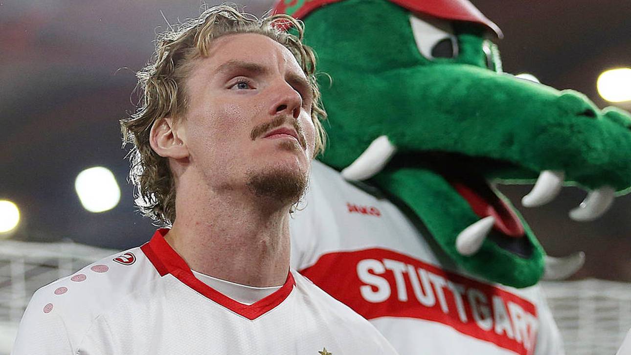 Jetzt spricht Woltemades Berater