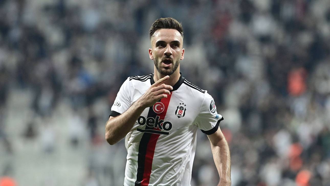 Fix! Schalke holt neuen Stürmer