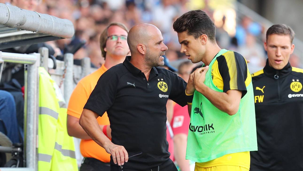 Das ist Bosz‘ To-do-Liste beim BVB