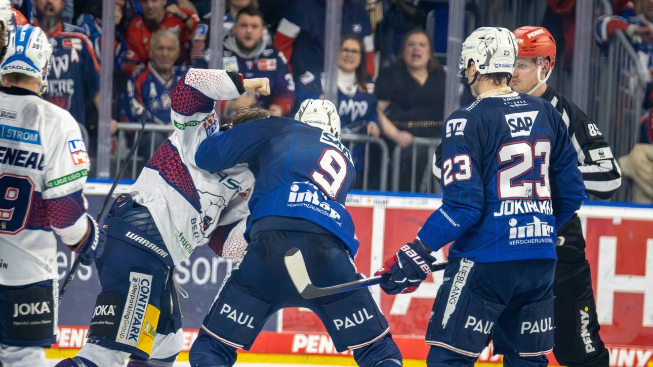 DEL: Geldstrafen für Bergmann, Gawanke und Eisenschmid