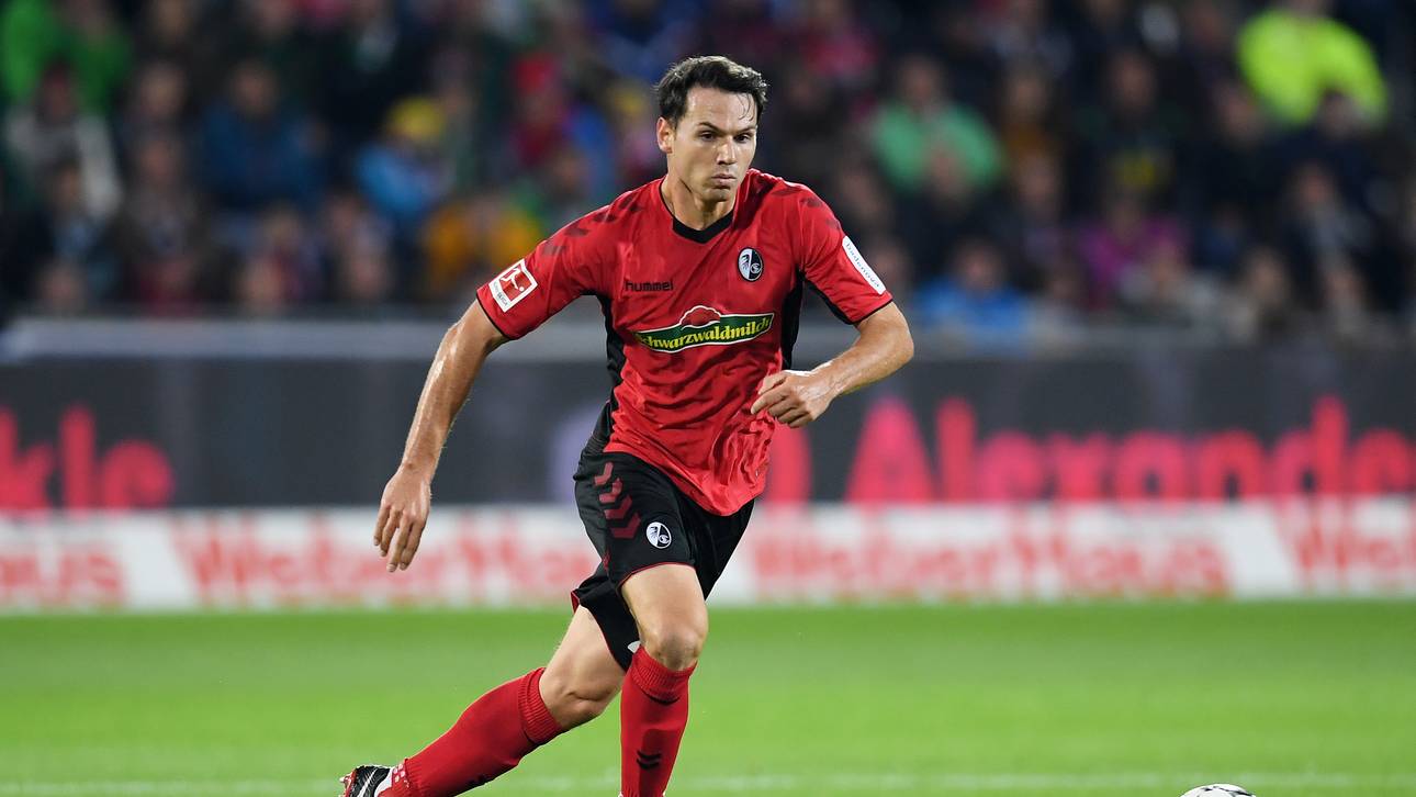 Höfler-Schock: SCF plant Transfer