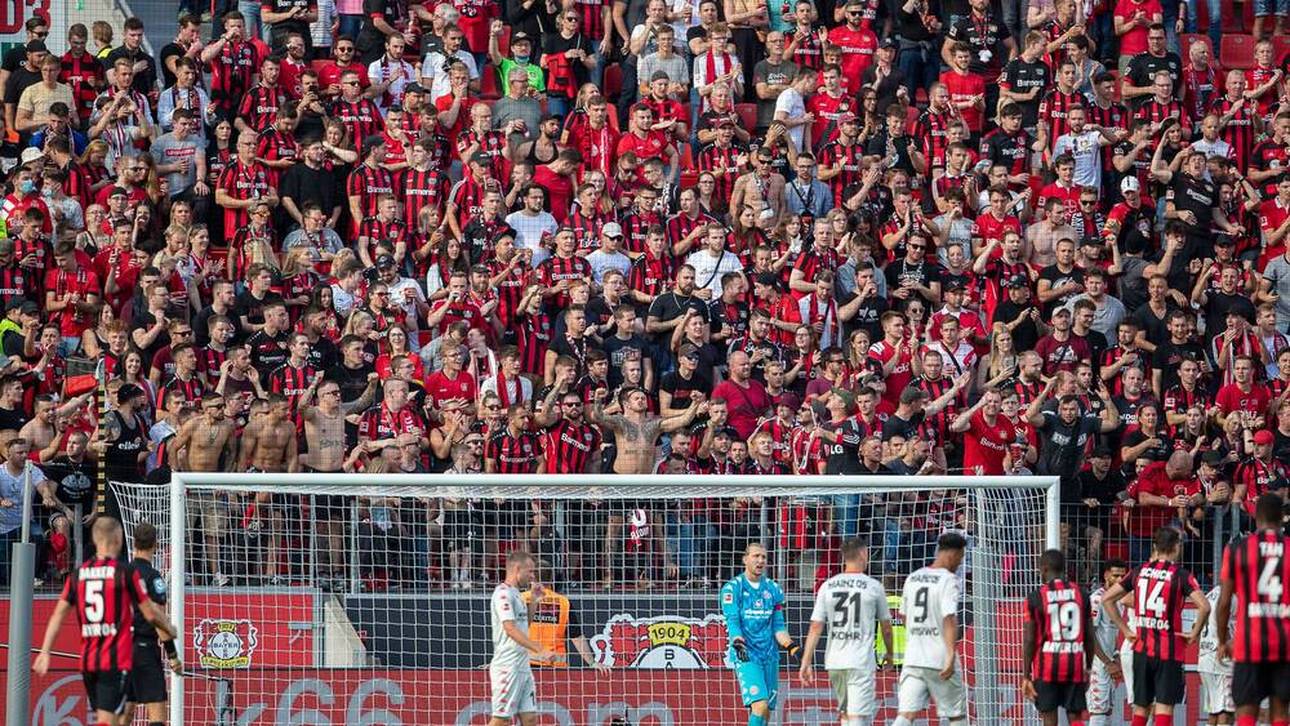Fans verlieren Angst vor Stadionbesuch