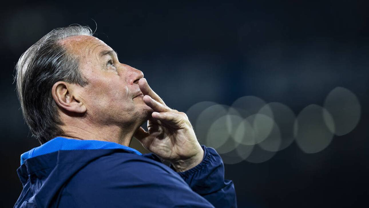 Huub Stevens spricht über seinen Ex-Verein Schalke