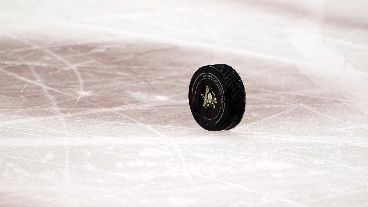 Der EV Landshut ist gerettet