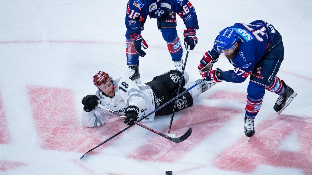 Haie mit Neustart nach Playoff-Aus